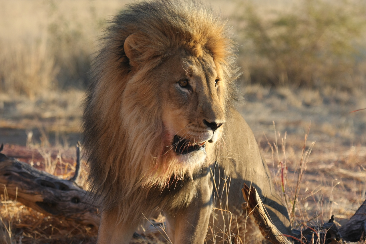 [8481] 2016_06_23_11_54_30_Africa_Canon_EOS_40D_IMG__09219.jpg