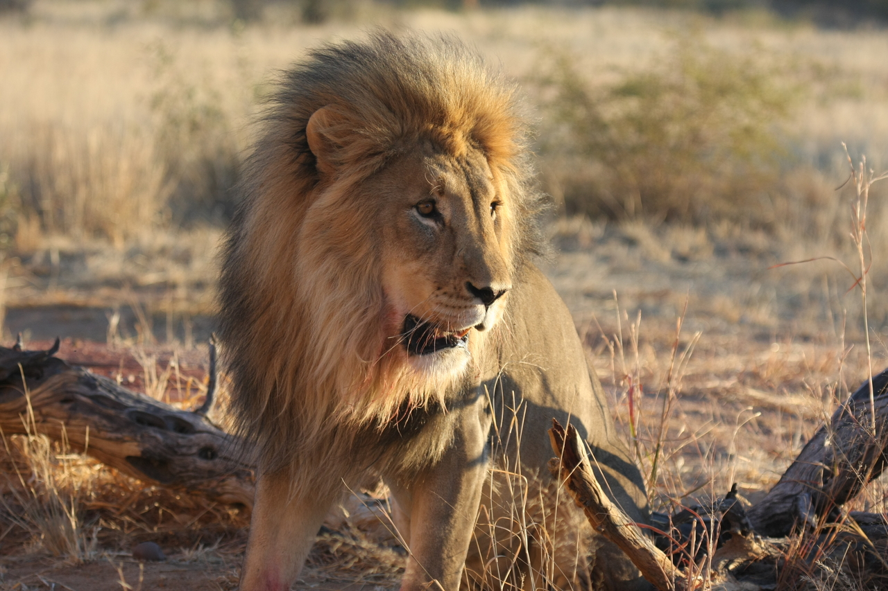 [8486] 2016_06_23_11_54_31_Africa_Canon_EOS_40D_IMG__09220.jpg