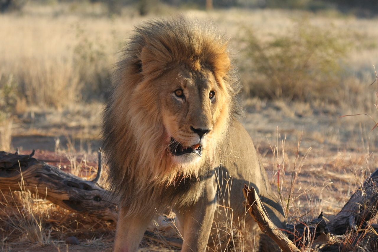 [8497] 2016_06_23_11_54_33_Africa_Canon_EOS_40D_IMG__01778.jpg