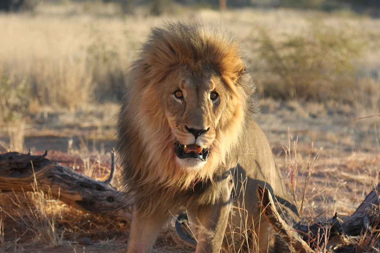 [8507] 2016_06_23_11_54_34_Africa_Canon_EOS_40D_IMG__01782.jpg