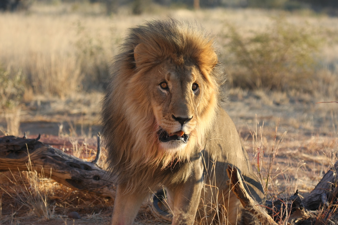 [8508] 2016_06_23_11_54_34_Africa_Canon_EOS_40D_IMG__09227.jpg