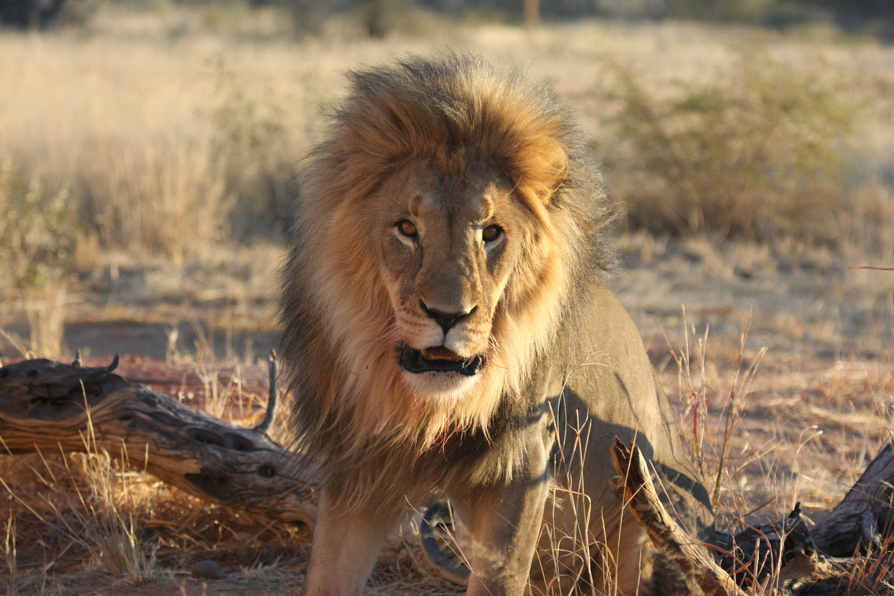 [8515] 2016_06_23_11_54_35_Africa_Canon_EOS_40D_IMG__00949.jpg