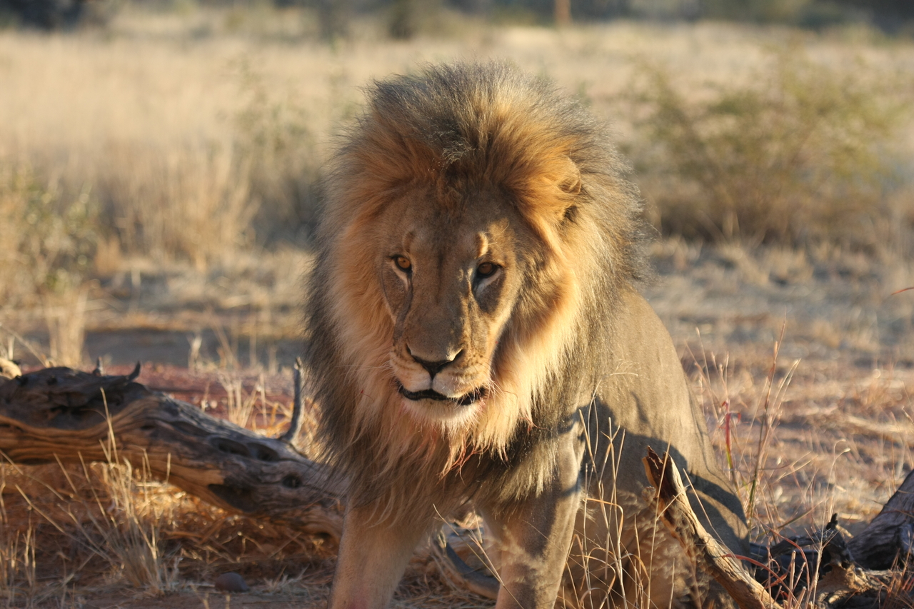 [8519] 2016_06_23_11_54_35_Africa_Canon_EOS_40D_IMG__01784.jpg