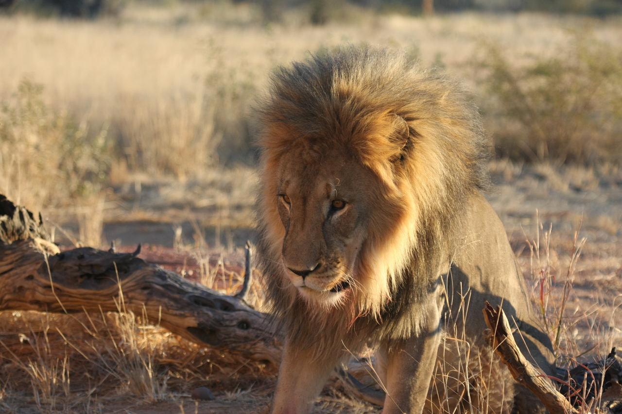 [8524] 2016_06_23_11_54_36_Africa_Canon_EOS_40D_IMG__00952.jpg