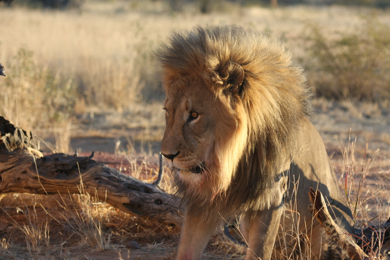 [8529] 2016_06_23_11_54_36_Africa_Canon_EOS_40D_IMG__01789.jpg