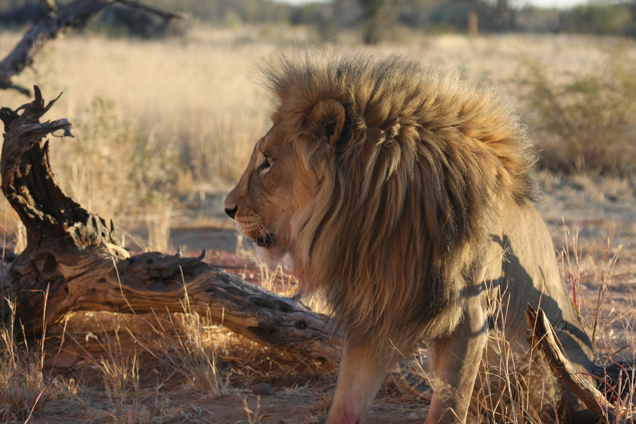 [8542] 2016_06_23_11_54_41_Africa_Canon_EOS_40D_IMG__09238.jpg