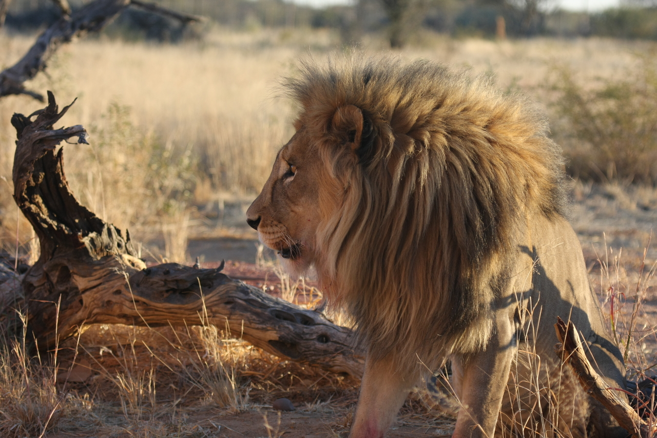 [8543] 2016_06_23_11_54_43_Africa_Canon_EOS_40D_IMG__00958.jpg