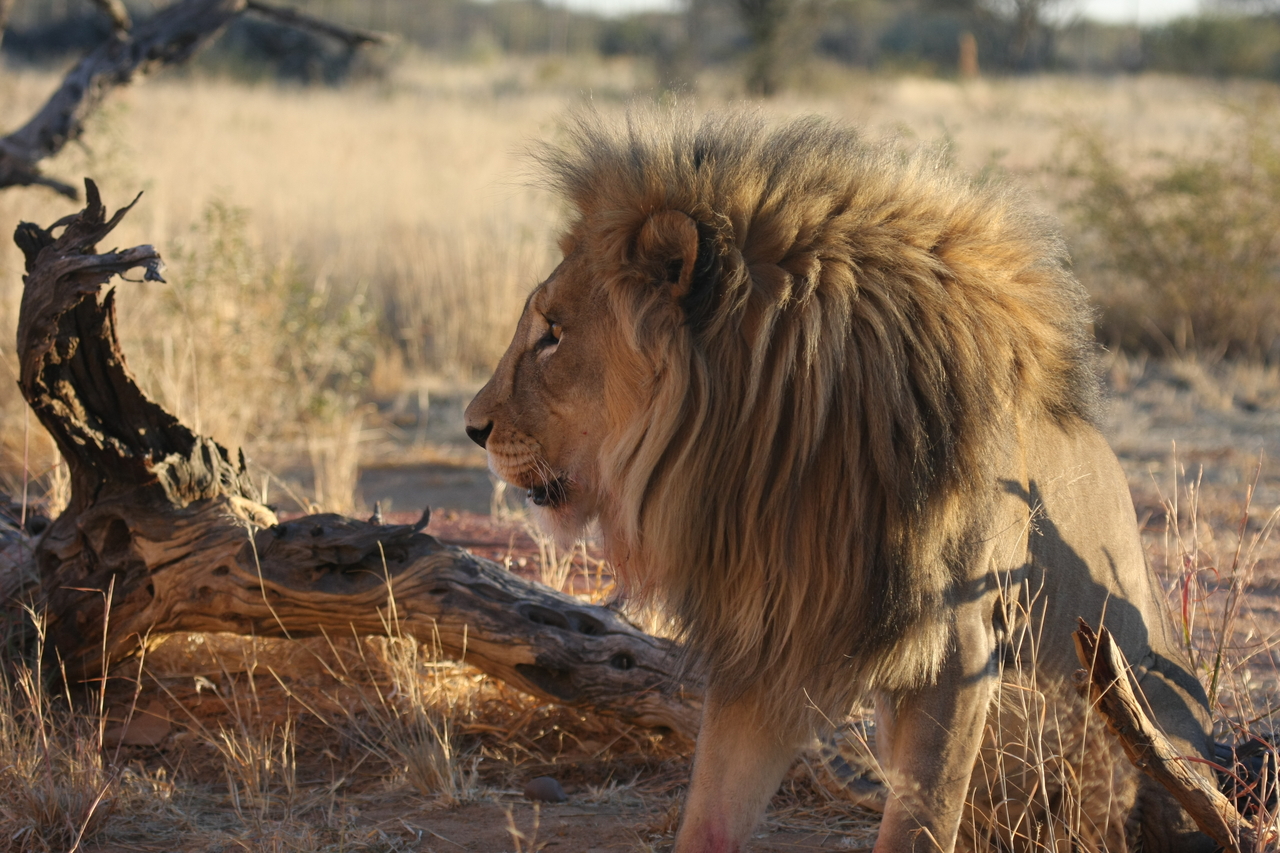 [8546] 2016_06_23_11_54_43_Africa_Canon_EOS_40D_IMG__01793.jpg