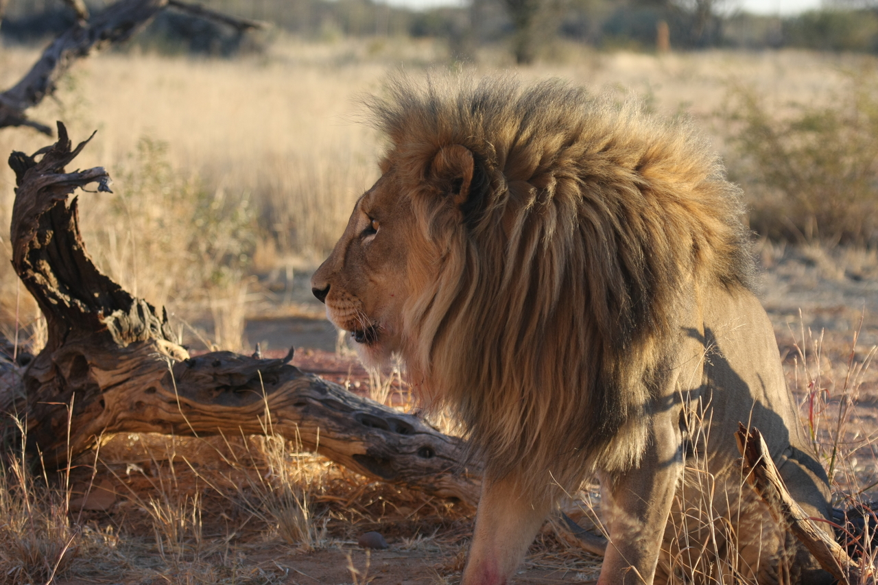 [8551] 2016_06_23_11_54_44_Africa_Canon_EOS_40D_IMG__09241.jpg