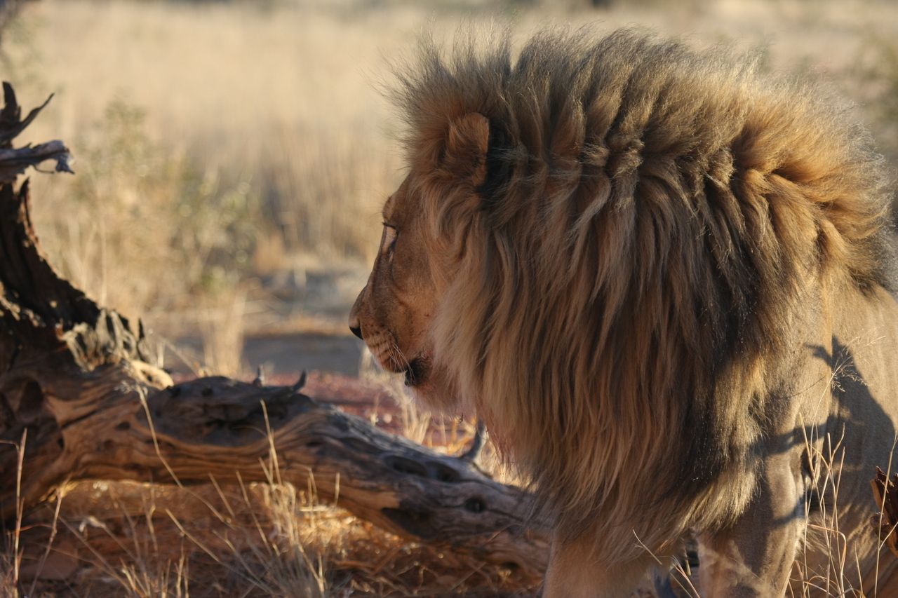 [8552] 2016_06_23_11_54_45_Africa_Canon_EOS_40D_IMG__00961.jpg