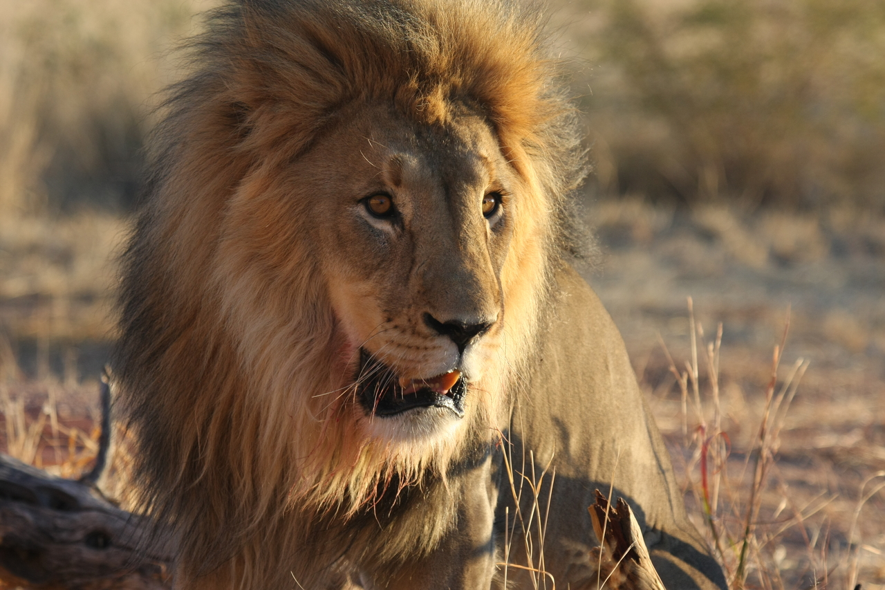 [8562] 2016_06_23_11_54_53_Africa_Canon_EOS_40D_IMG__00963.jpg