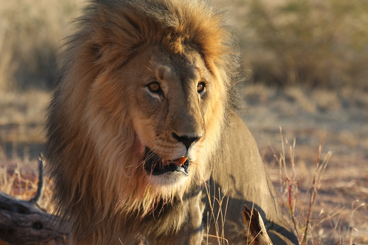 [8566] 2016_06_23_11_54_53_Africa_Canon_EOS_40D_IMG__01799.jpg