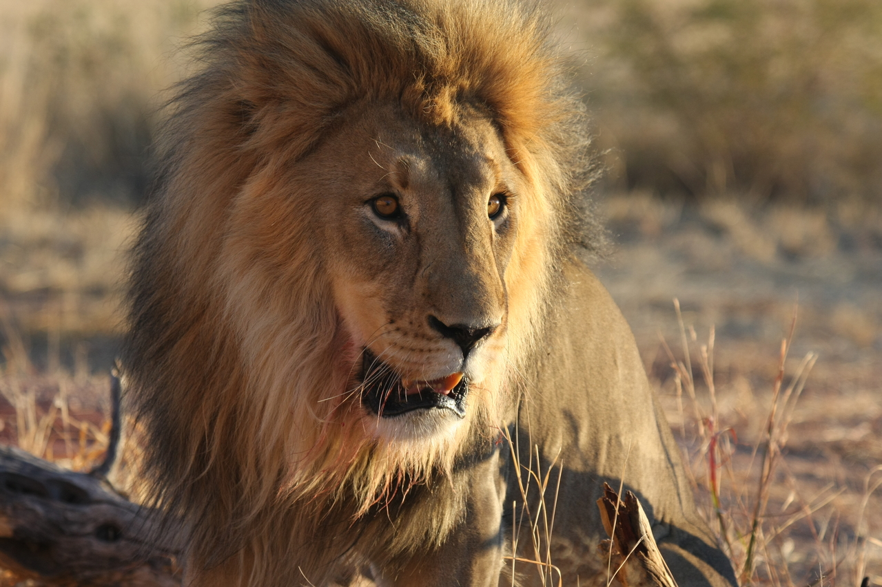 [8567] 2016_06_23_11_54_53_Africa_Canon_EOS_40D_IMG__09243.jpg