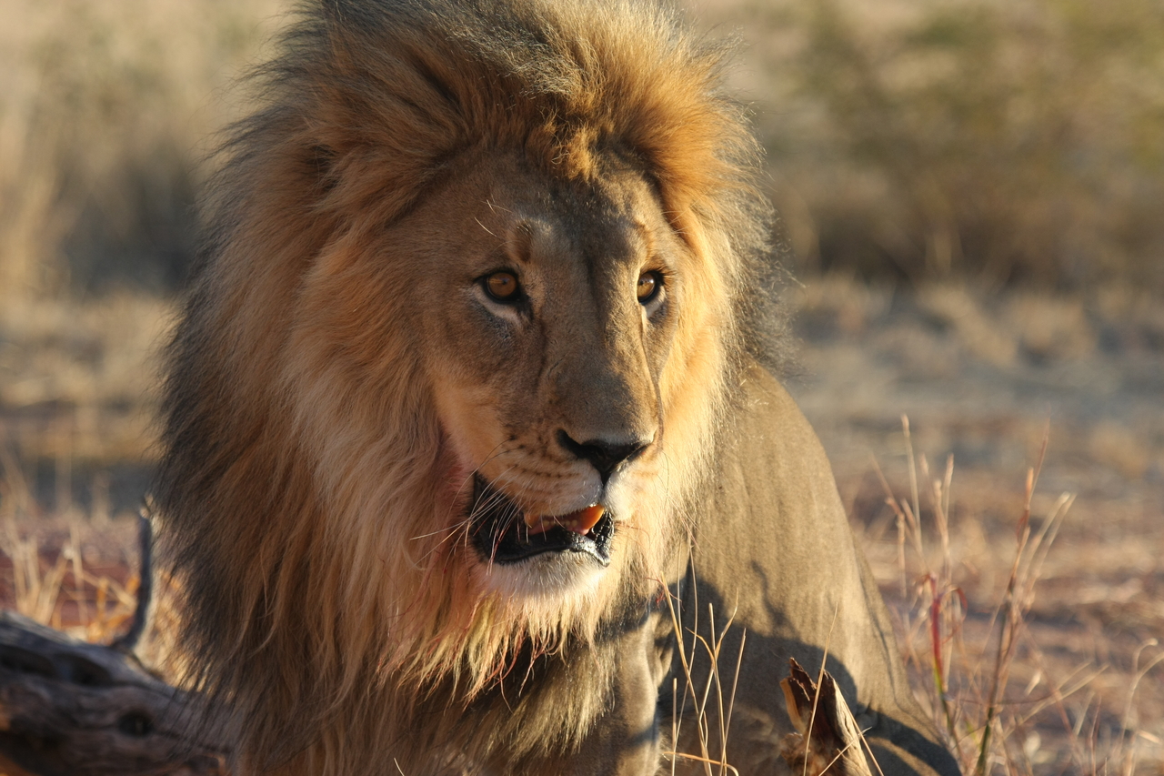 [8570] 2016_06_23_11_54_54_Africa_Canon_EOS_40D_IMG__00966.jpg