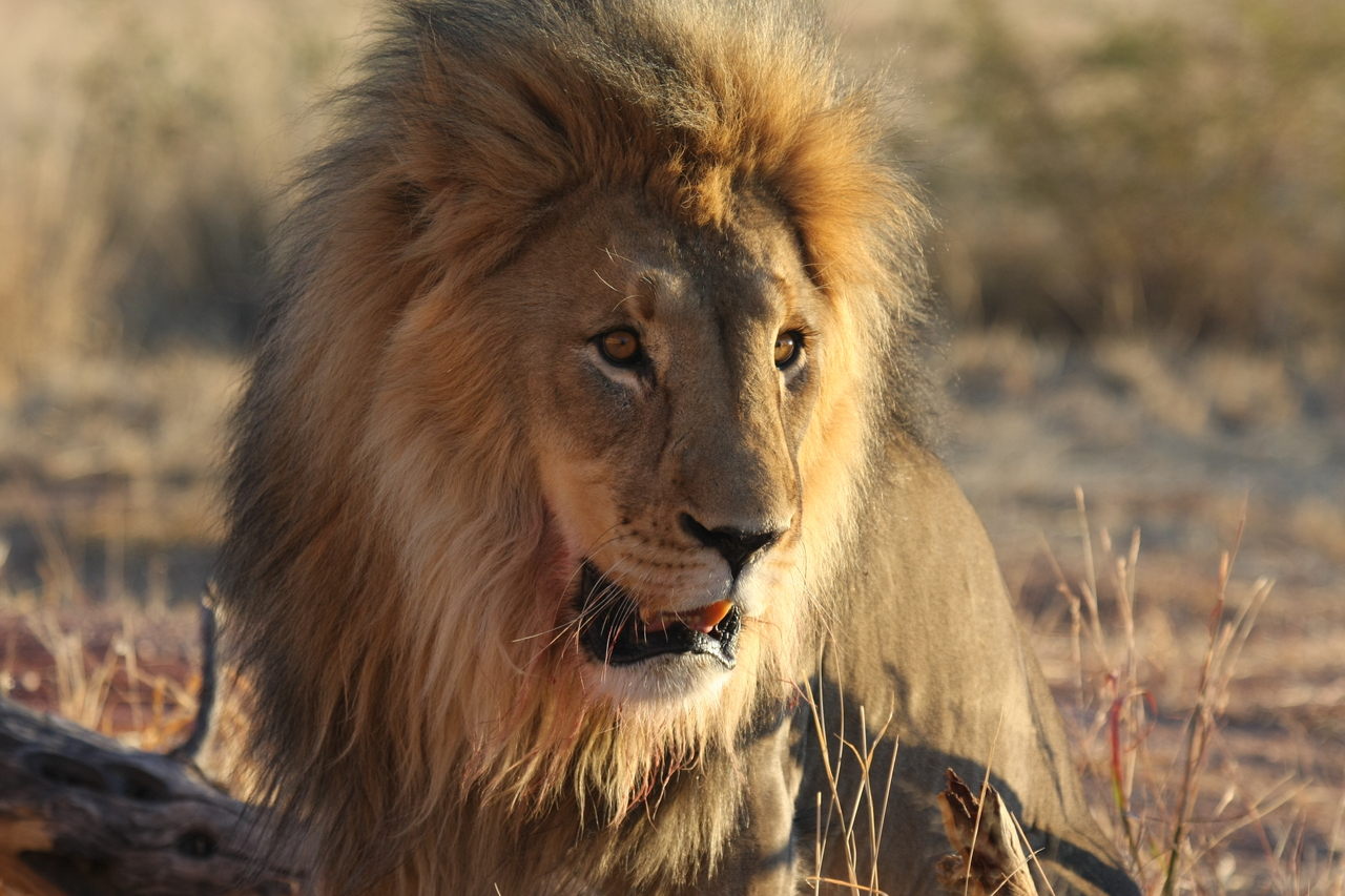 [8574] 2016_06_23_11_54_54_Africa_Canon_EOS_40D_IMG__01801.jpg