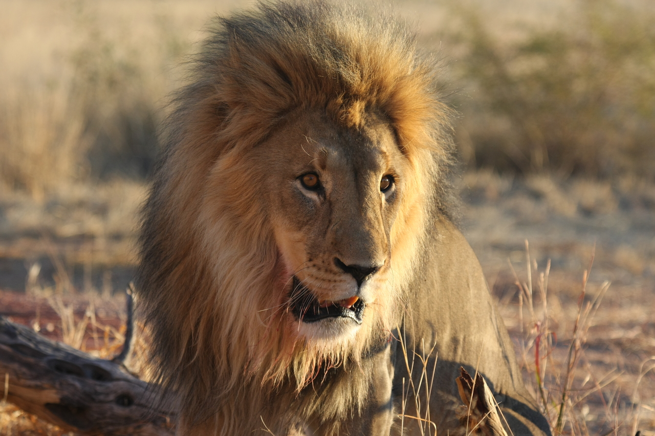 [8575] 2016_06_23_11_54_54_Africa_Canon_EOS_40D_IMG__01802.jpg