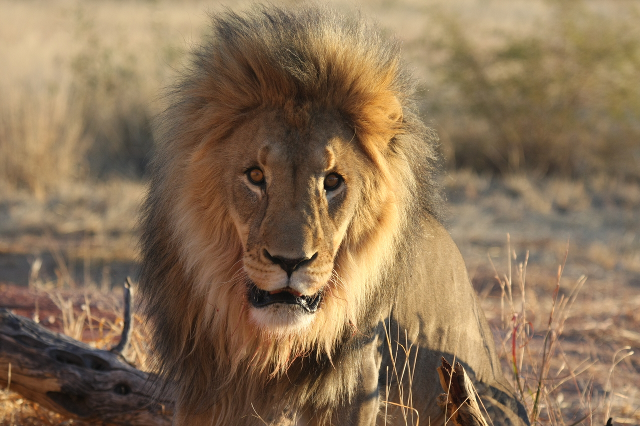 [8582] 2016_06_23_11_54_55_Africa_Canon_EOS_40D_IMG__01803.jpg