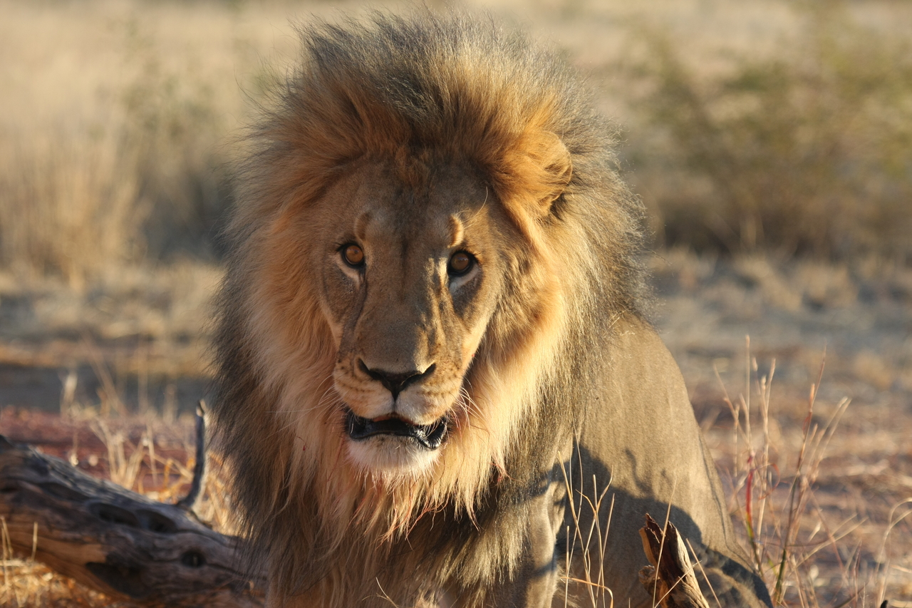 [8583] 2016_06_23_11_54_55_Africa_Canon_EOS_40D_IMG__01804.jpg