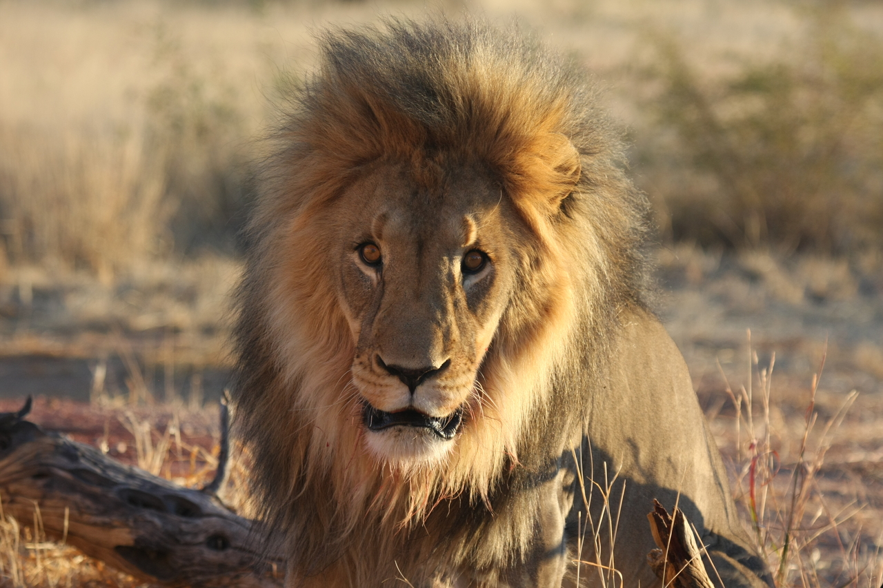 [8584] 2016_06_23_11_54_55_Africa_Canon_EOS_40D_IMG__01805.jpg