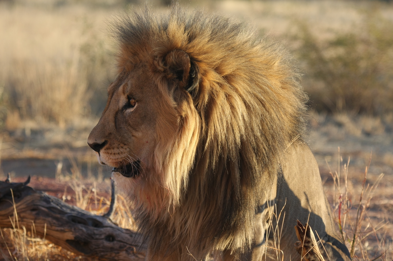 [8590] 2016_06_23_11_54_56_Africa_Canon_EOS_40D_IMG__00974.jpg