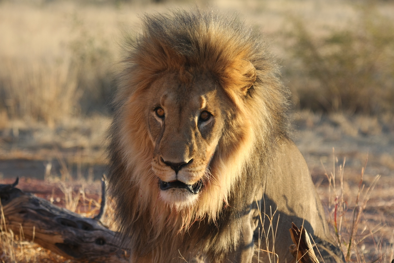 [8591] 2016_06_23_11_54_56_Africa_Canon_EOS_40D_IMG__01806.jpg