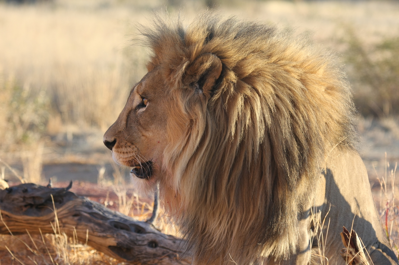 [8599] 2016_06_23_11_55_00_Africa_Canon_EOS_40D_IMG__00979.jpg