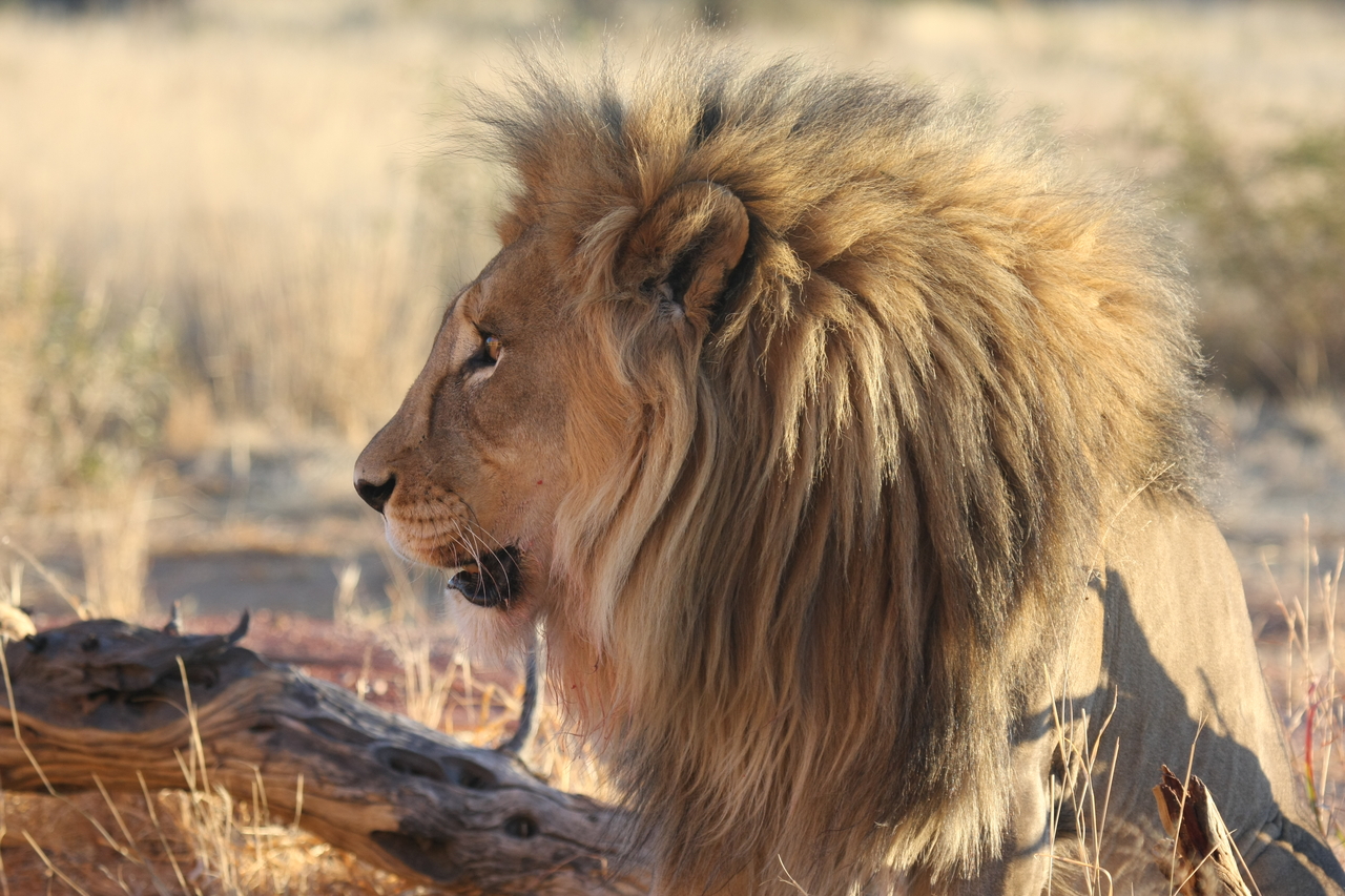 [8606] 2016_06_23_11_55_01_Africa_Canon_EOS_40D_IMG__00980.jpg