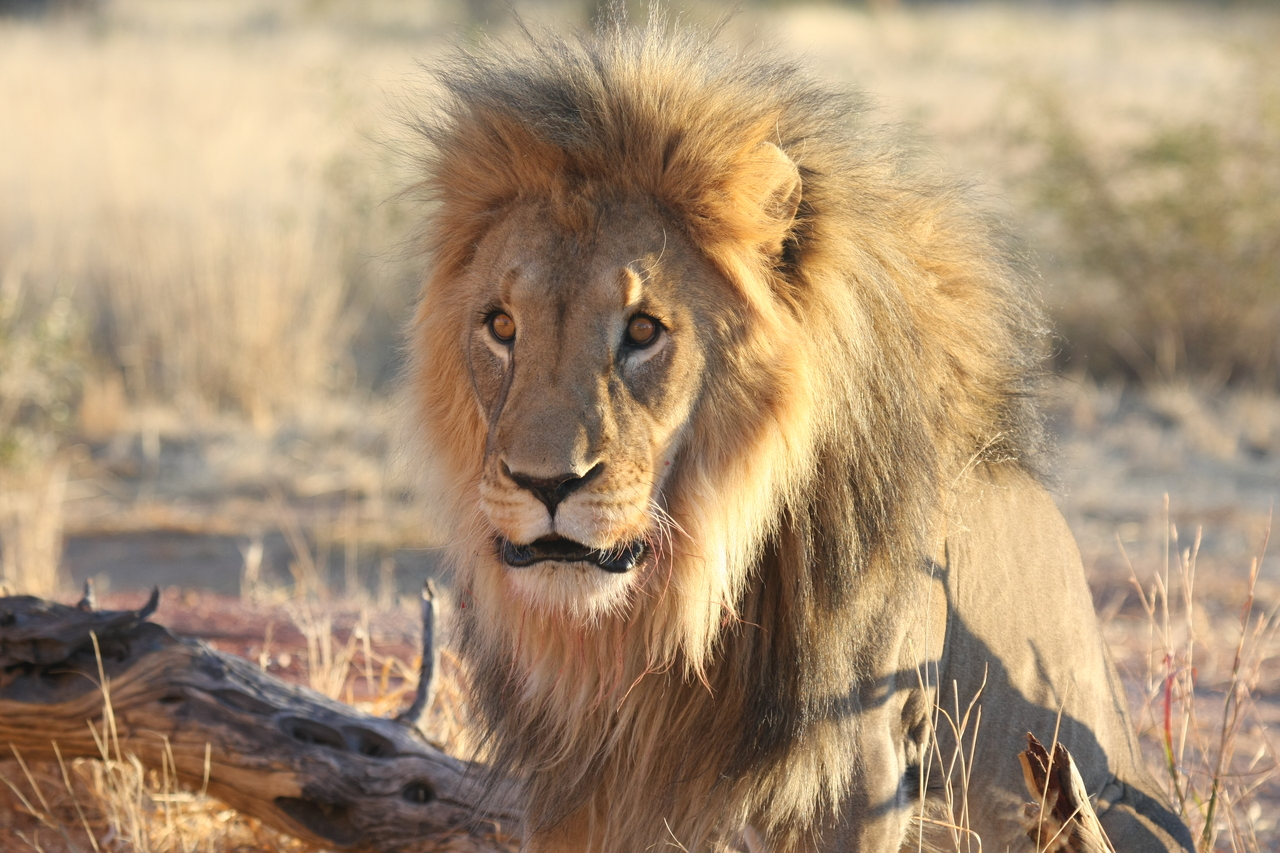 [8613] 2016_06_23_11_55_08_Africa_Canon_EOS_40D_IMG__00983.jpg