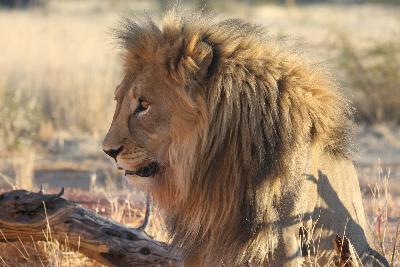 [8617] 2016_06_23_11_55_08_Africa_Canon_EOS_40D_IMG__09262.jpg