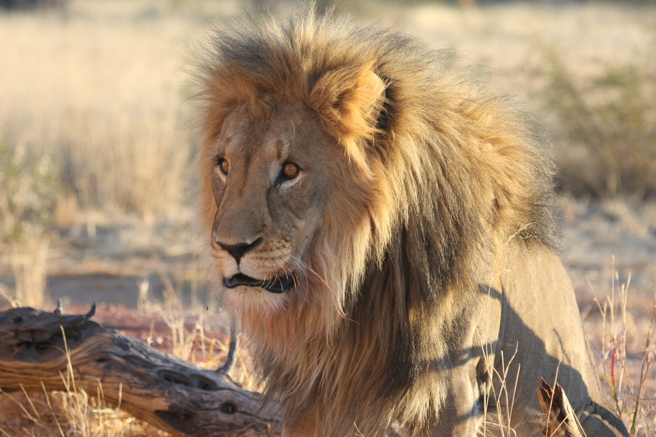 [8618] 2016_06_23_11_55_08_Africa_Canon_EOS_40D_IMG__09263.jpg