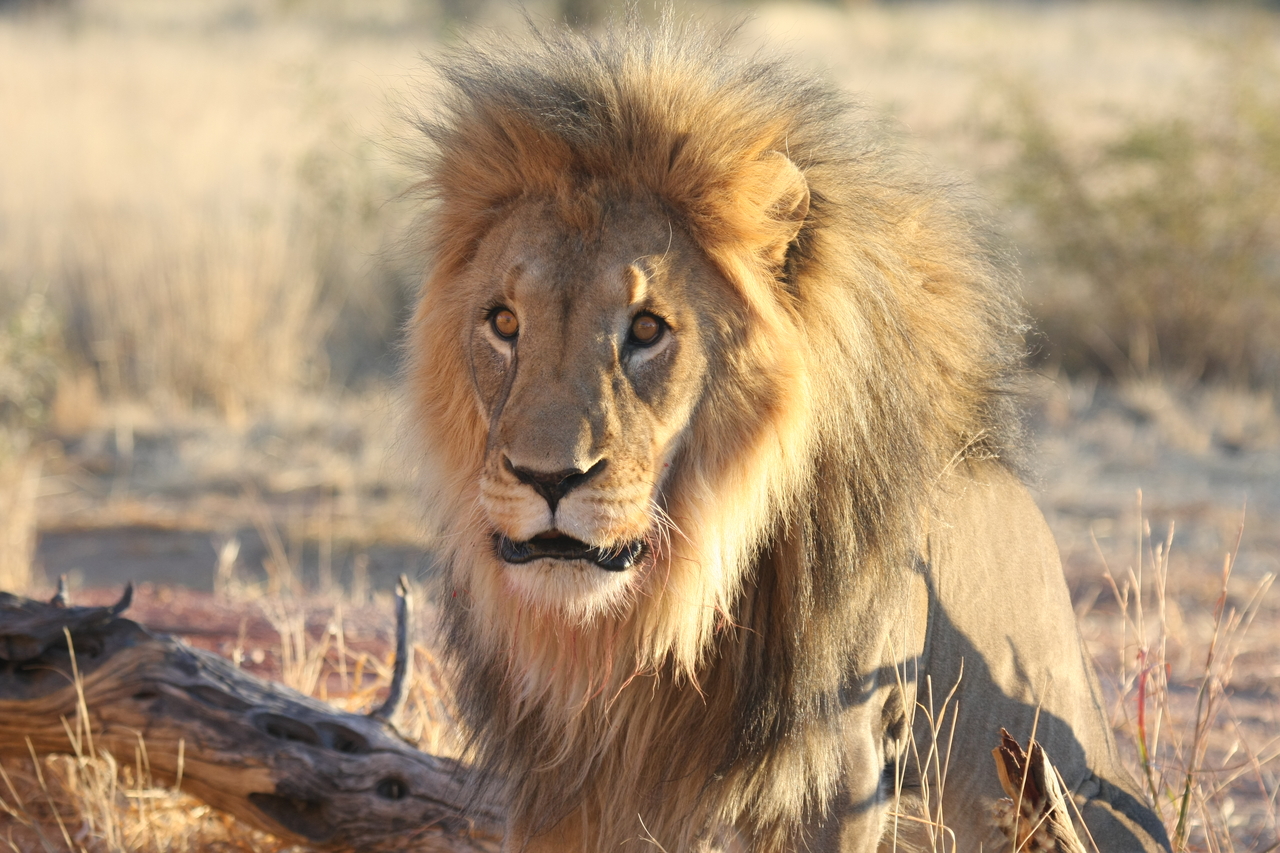 [8621] 2016_06_23_11_55_09_Africa_Canon_EOS_40D_IMG__01818.jpg