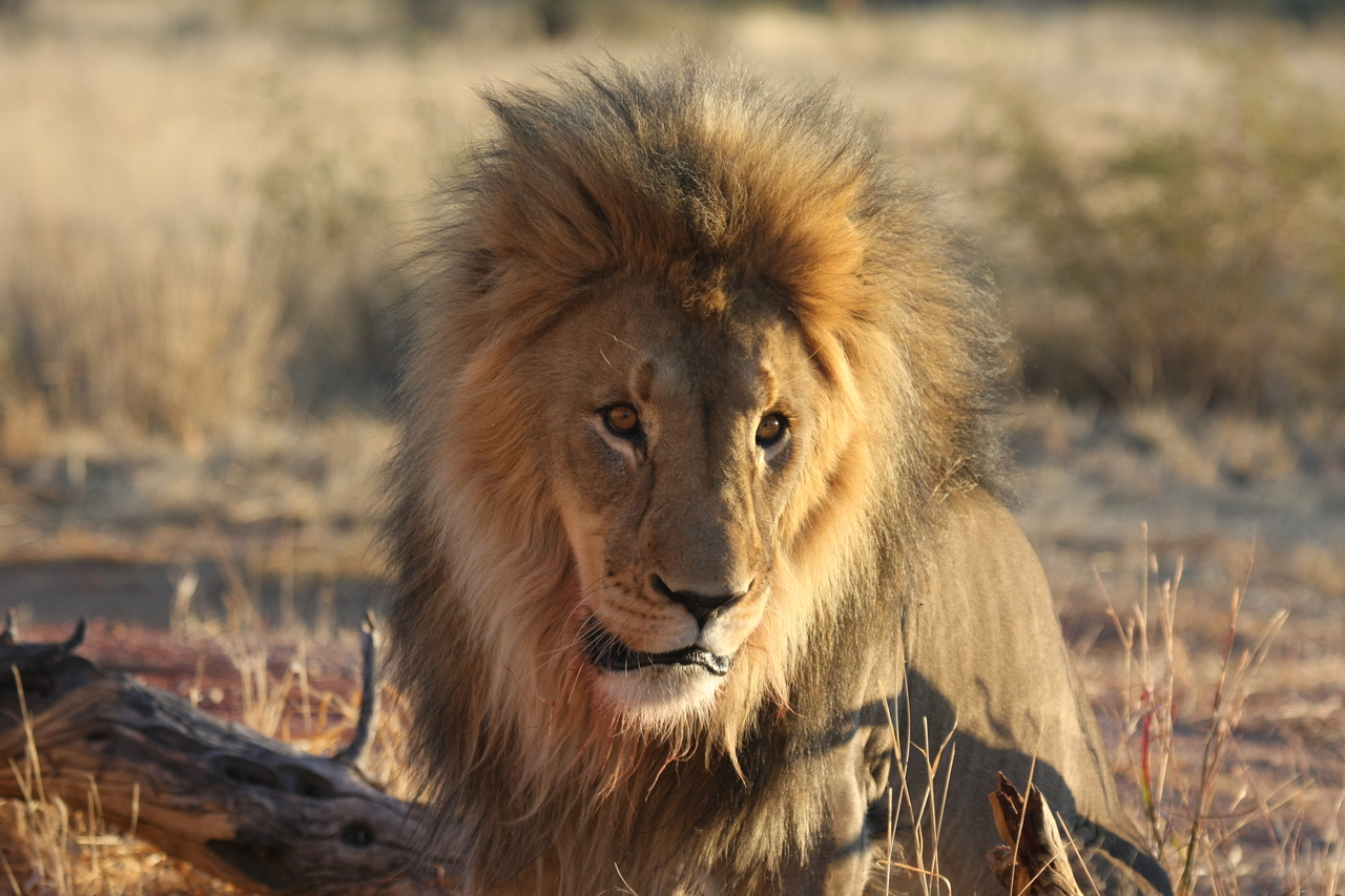 [8623] 2016_06_23_11_55_10_Africa_Canon_EOS_40D_IMG__00985.jpg