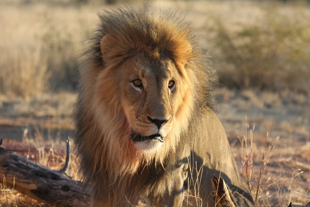 [8634] 2016_06_23_11_55_11_Africa_Canon_EOS_40D_IMG__09270.jpg