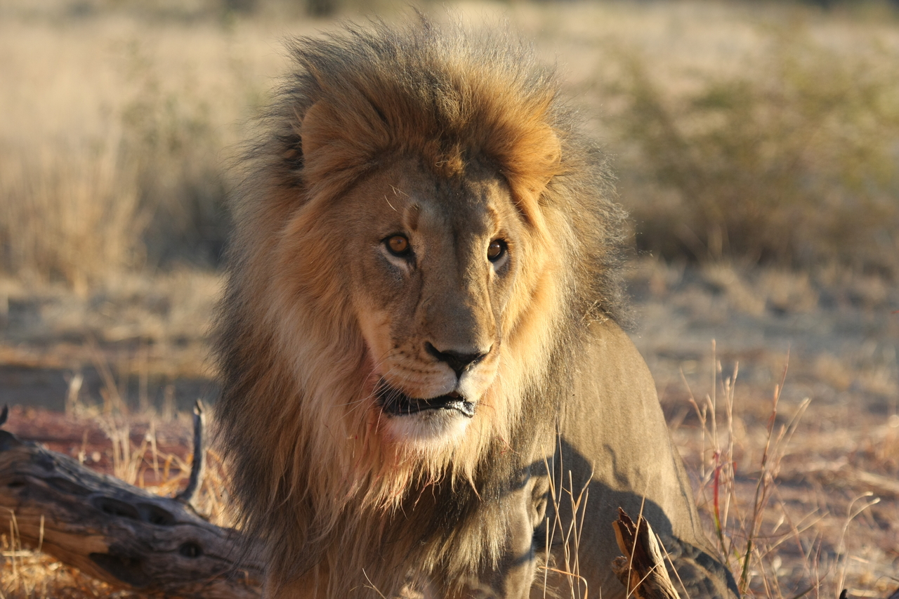 [8635] 2016_06_23_11_55_12_Africa_Canon_EOS_40D_IMG__00990.jpg