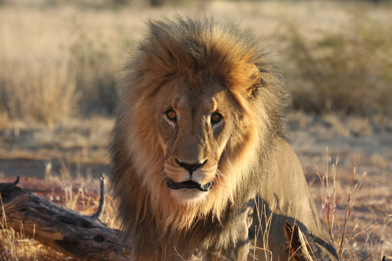 [8643] 2016_06_23_11_55_13_Africa_Canon_EOS_40D_IMG__00994.jpg