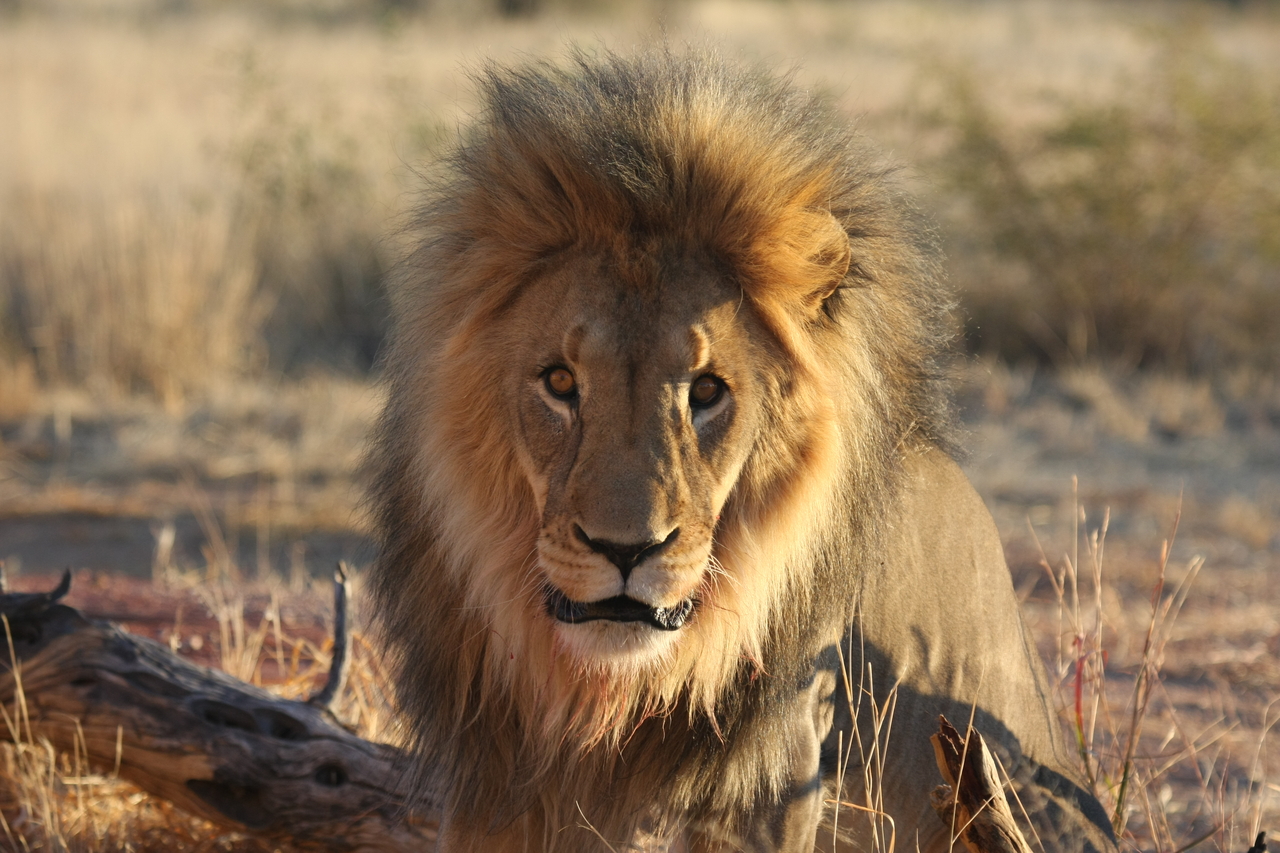 [8652] 2016_06_23_11_55_14_Africa_Canon_EOS_40D_IMG__01829.jpg