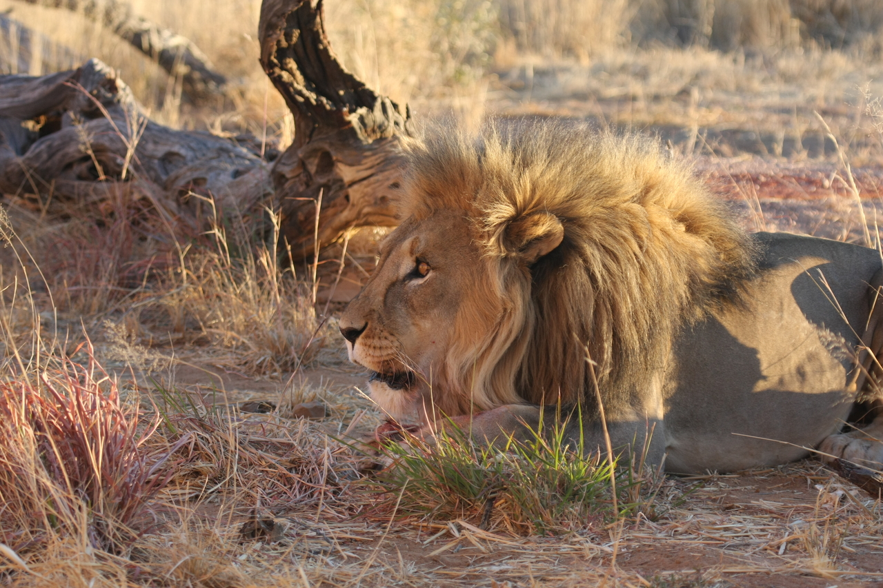 [8661] 2016_06_23_11_55_36_Africa_Canon_EOS_40D_IMG__01831.jpg