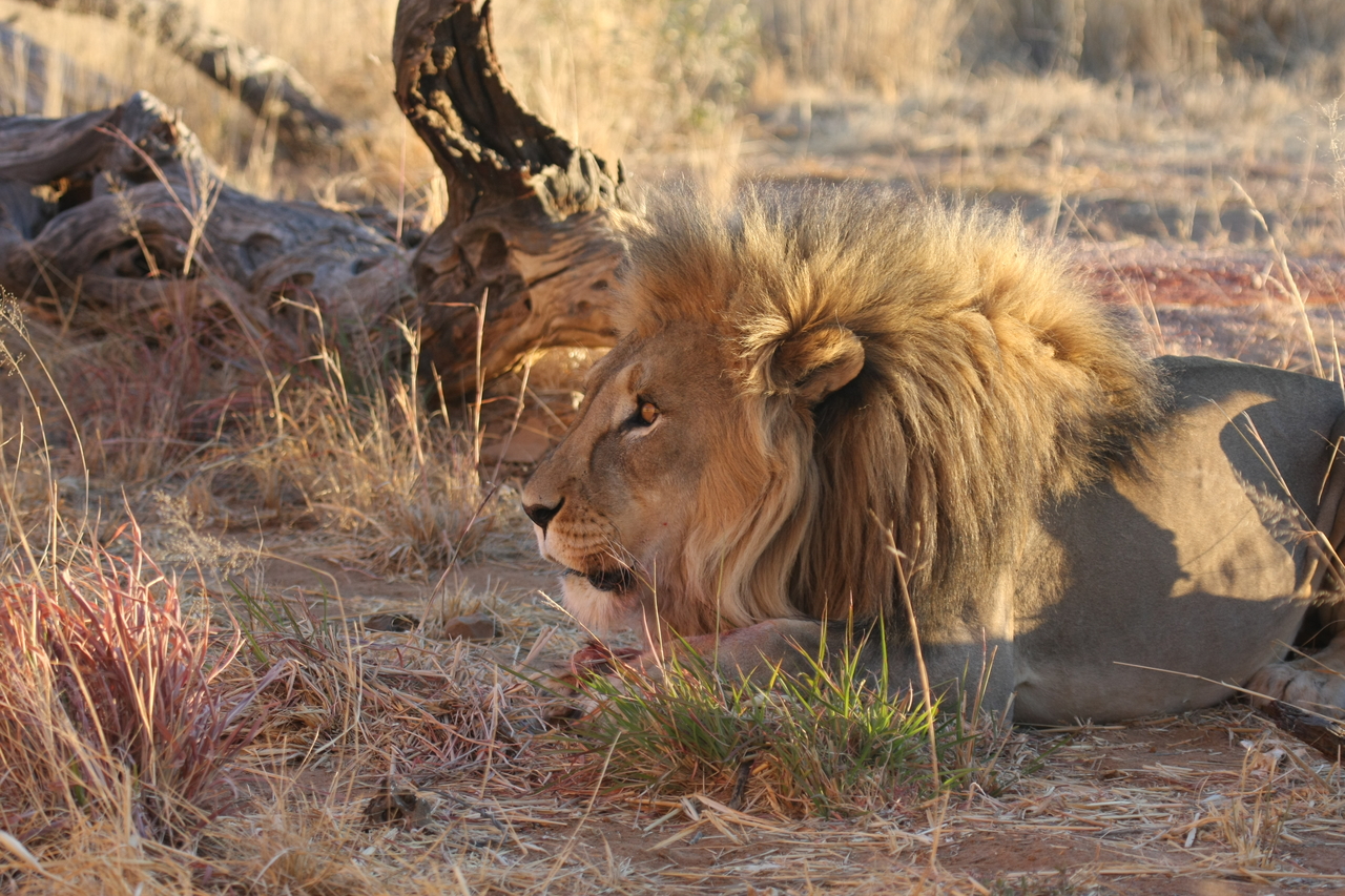 [8665] 2016_06_23_11_55_36_Africa_Canon_EOS_40D_IMG__09280.jpg