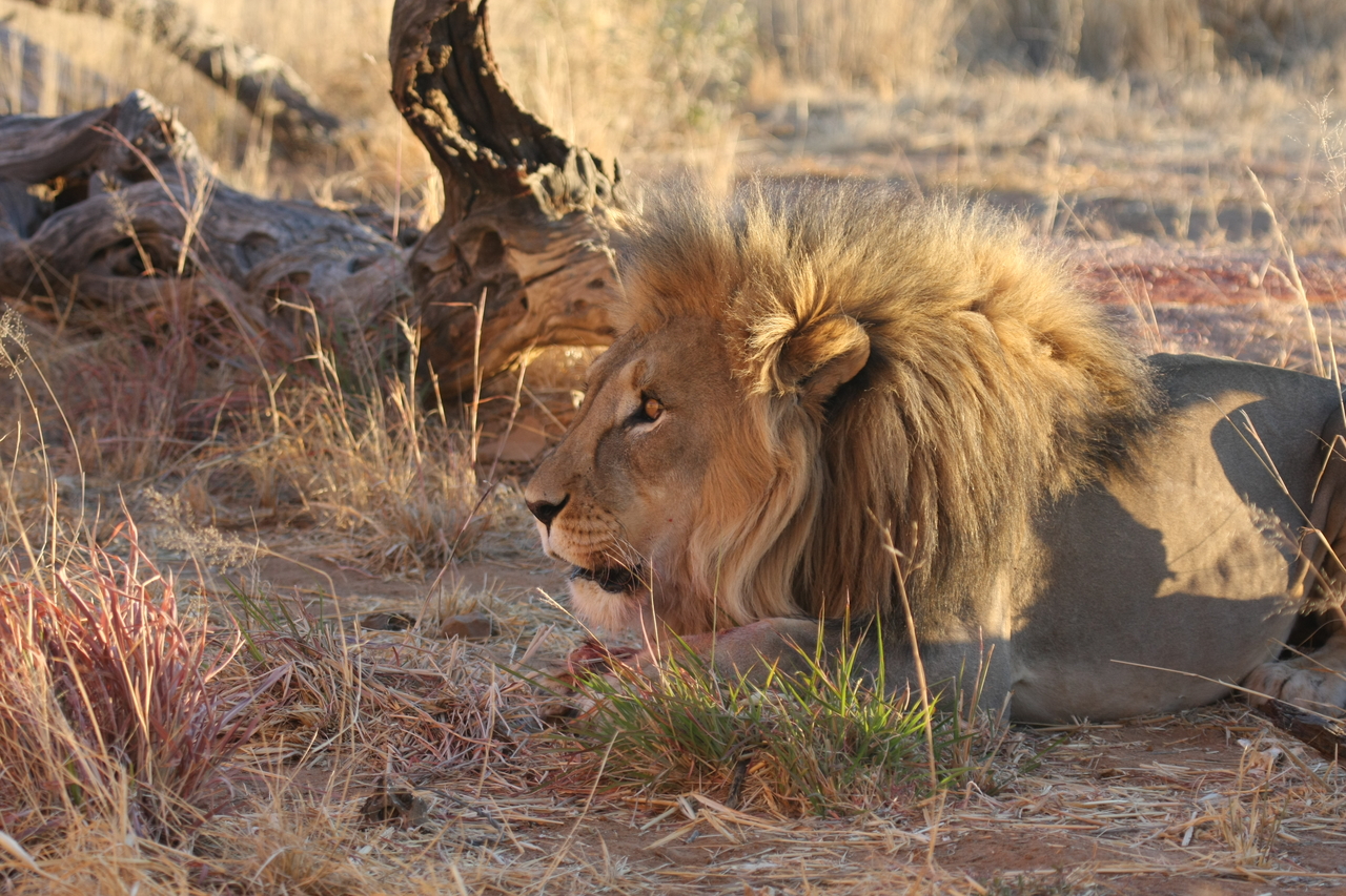 [8666] 2016_06_23_11_55_36_Africa_Canon_EOS_40D_IMG__09281.jpg