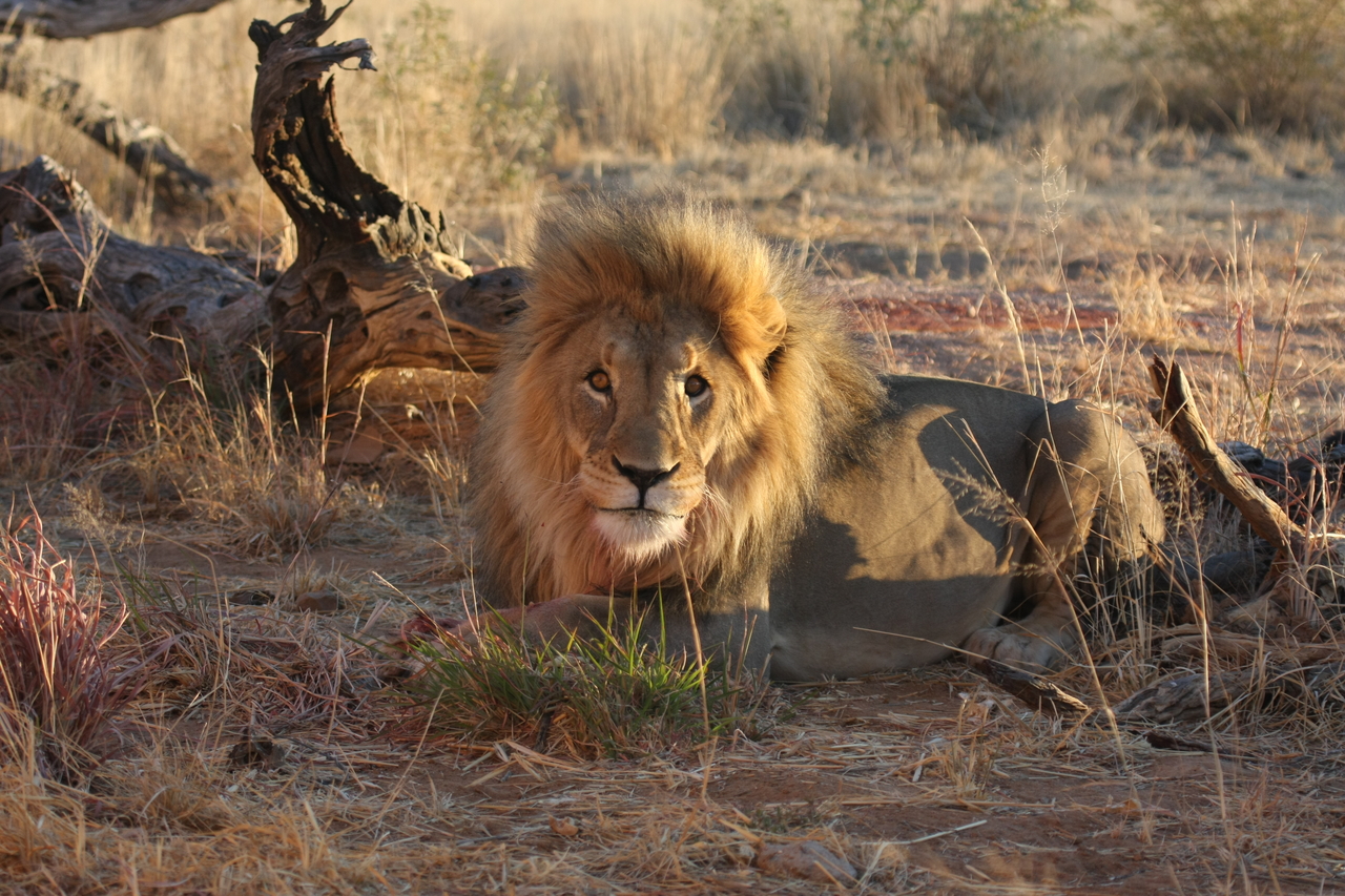 [8672] 2016_06_23_11_55_41_Africa_Canon_EOS_40D_IMG__01002.jpg