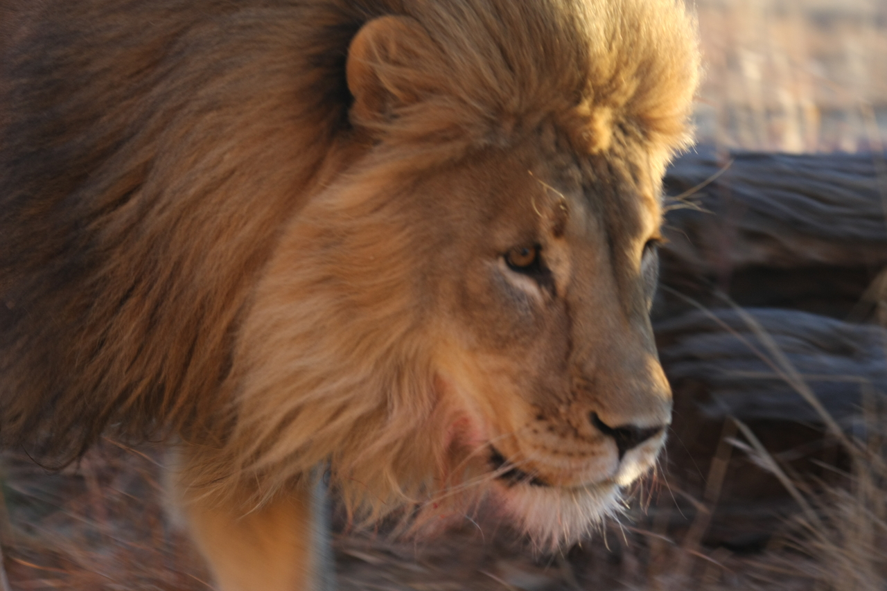 [8695] 2016_06_23_11_56_37_Africa_Canon_EOS_40D_IMG__01005.jpg