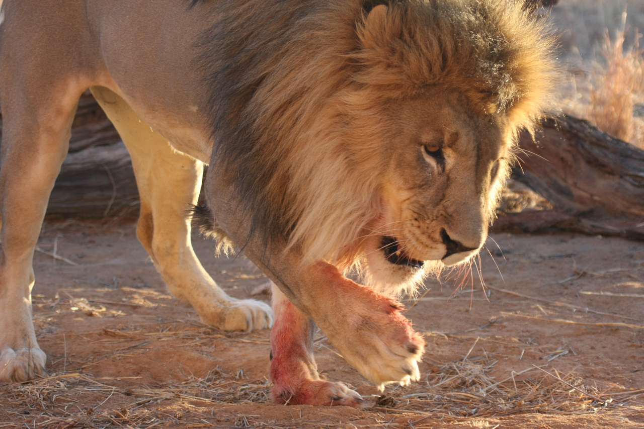 [8719] 2016_06_23_11_56_43_Africa_Canon_EOS_40D_IMG__09291.jpg