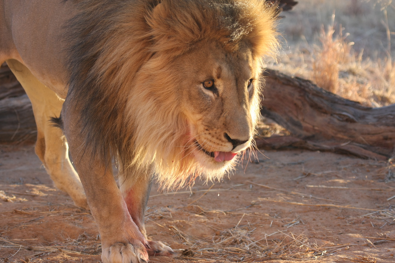 [8722] 2016_06_23_11_56_44_Africa_Canon_EOS_40D_IMG__01013.jpg