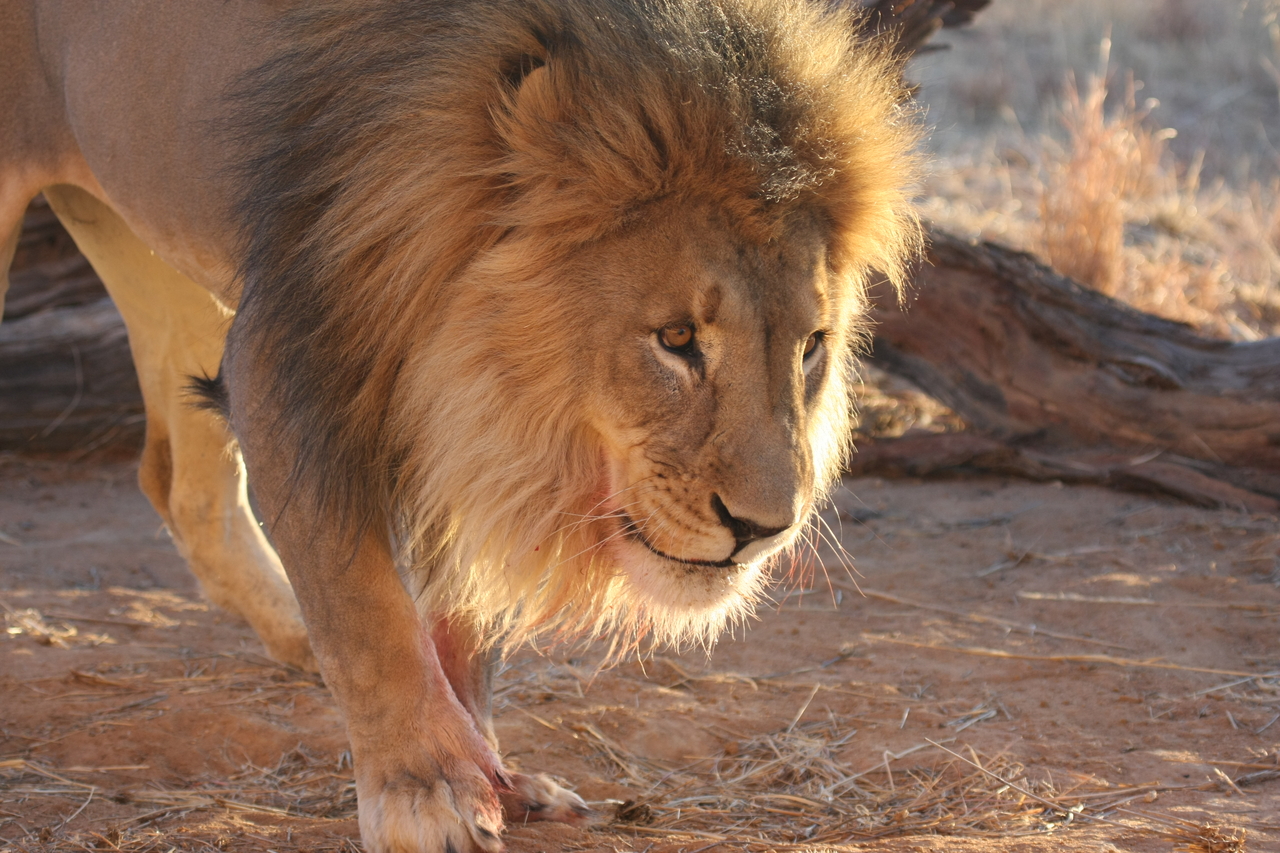 [8727] 2016_06_23_11_56_44_Africa_Canon_EOS_40D_IMG__09293.jpg