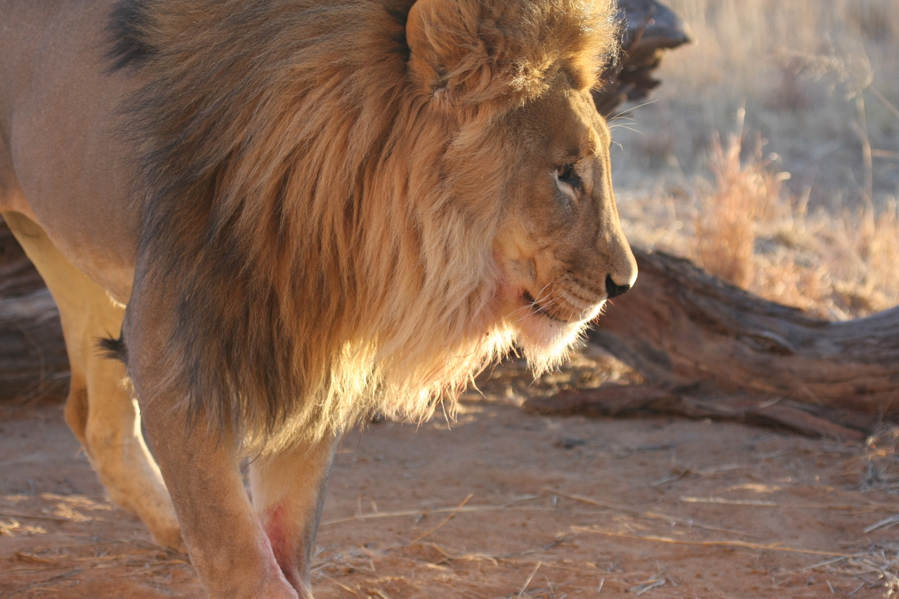 [8730] 2016_06_23_11_56_45_Africa_Canon_EOS_40D_IMG__01015.jpg