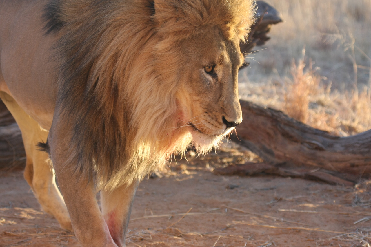 [8737] 2016_06_23_11_56_45_Africa_Canon_EOS_40D_IMG__09297.jpg