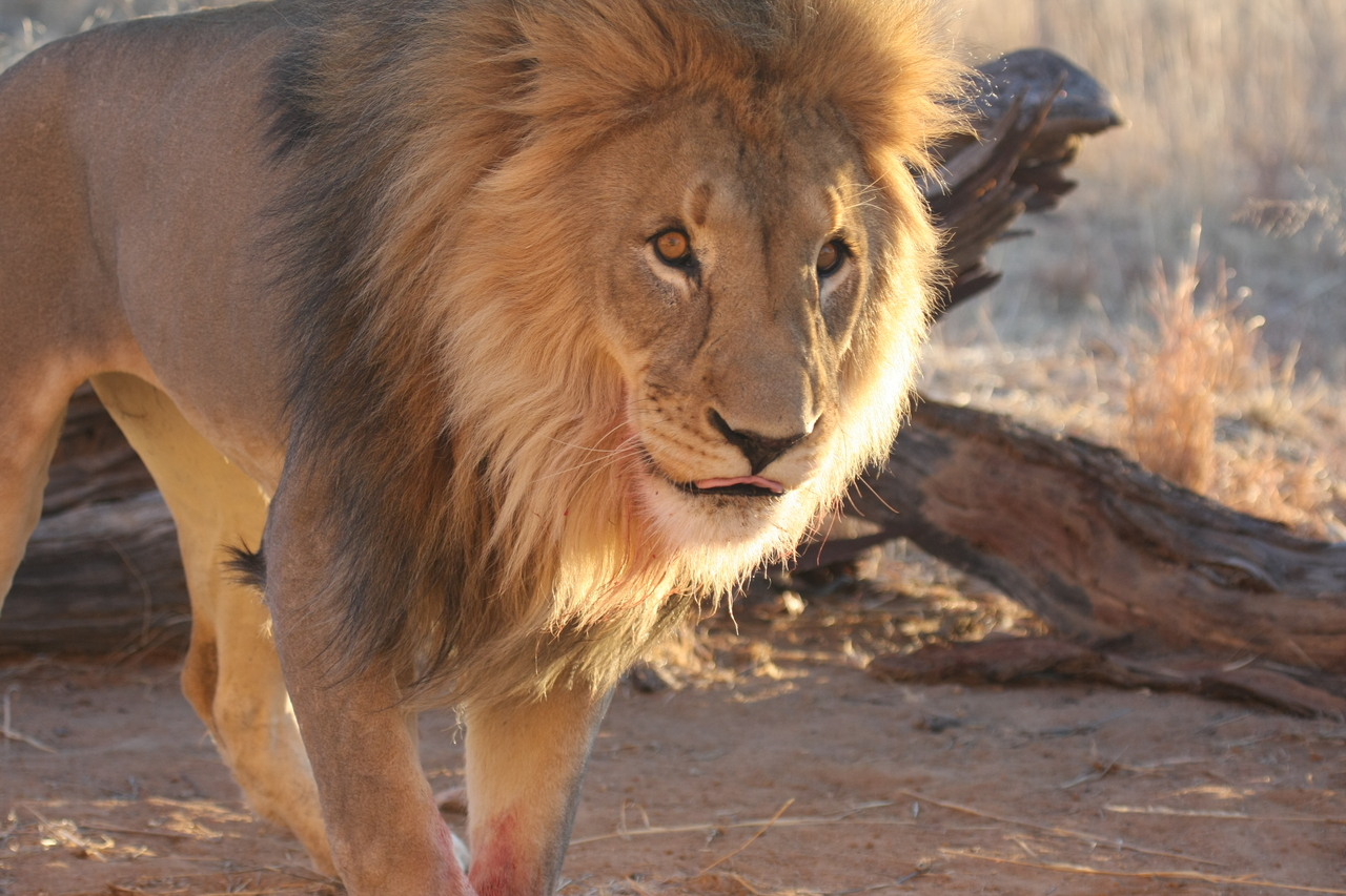 [8739] 2016_06_23_11_56_46_Africa_Canon_EOS_40D_IMG__01018.jpg