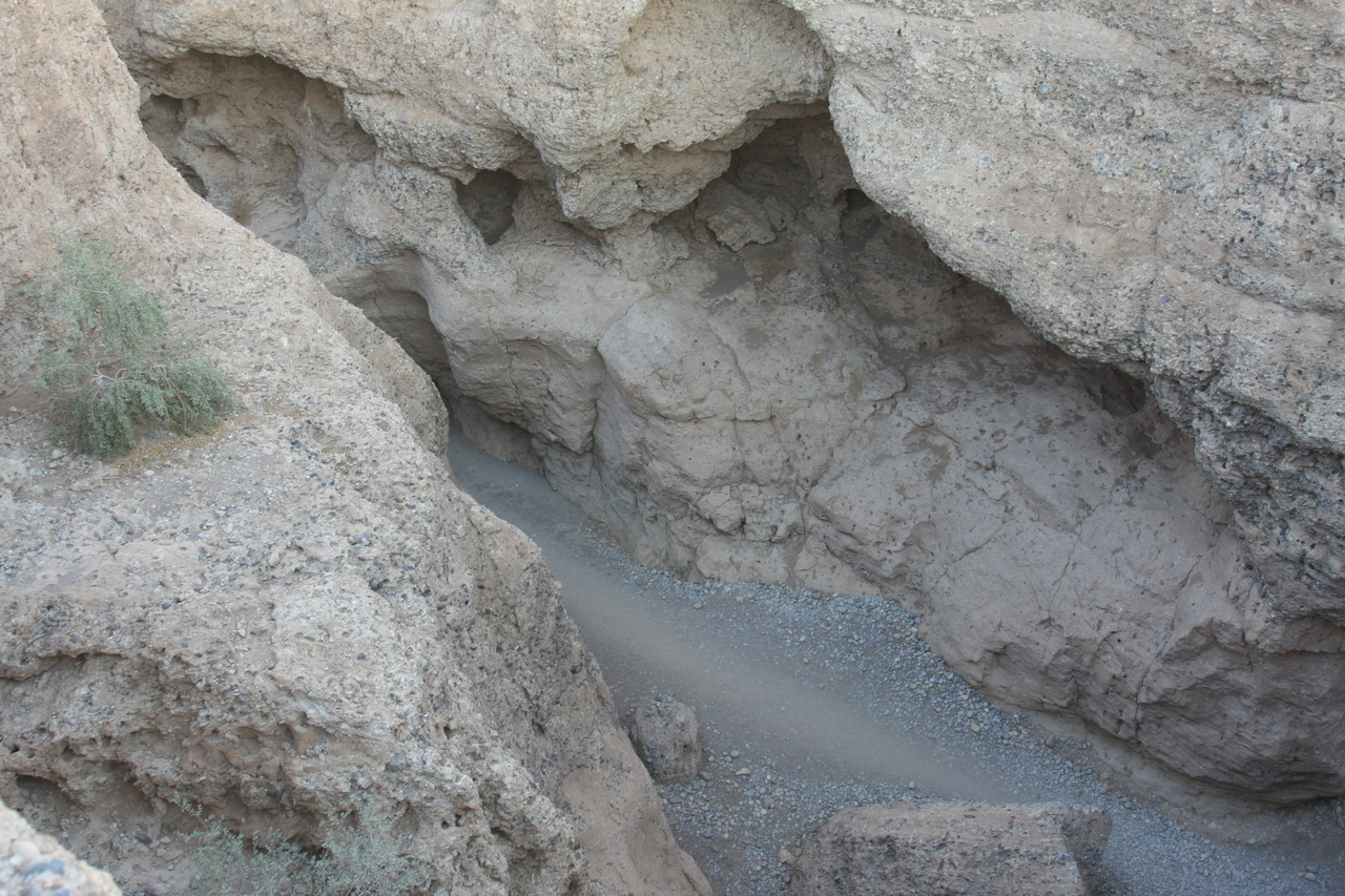 [13875] 2016_06_24_11_35_28_Africa_Canon_EOS_40D_IMG__09380.jpg