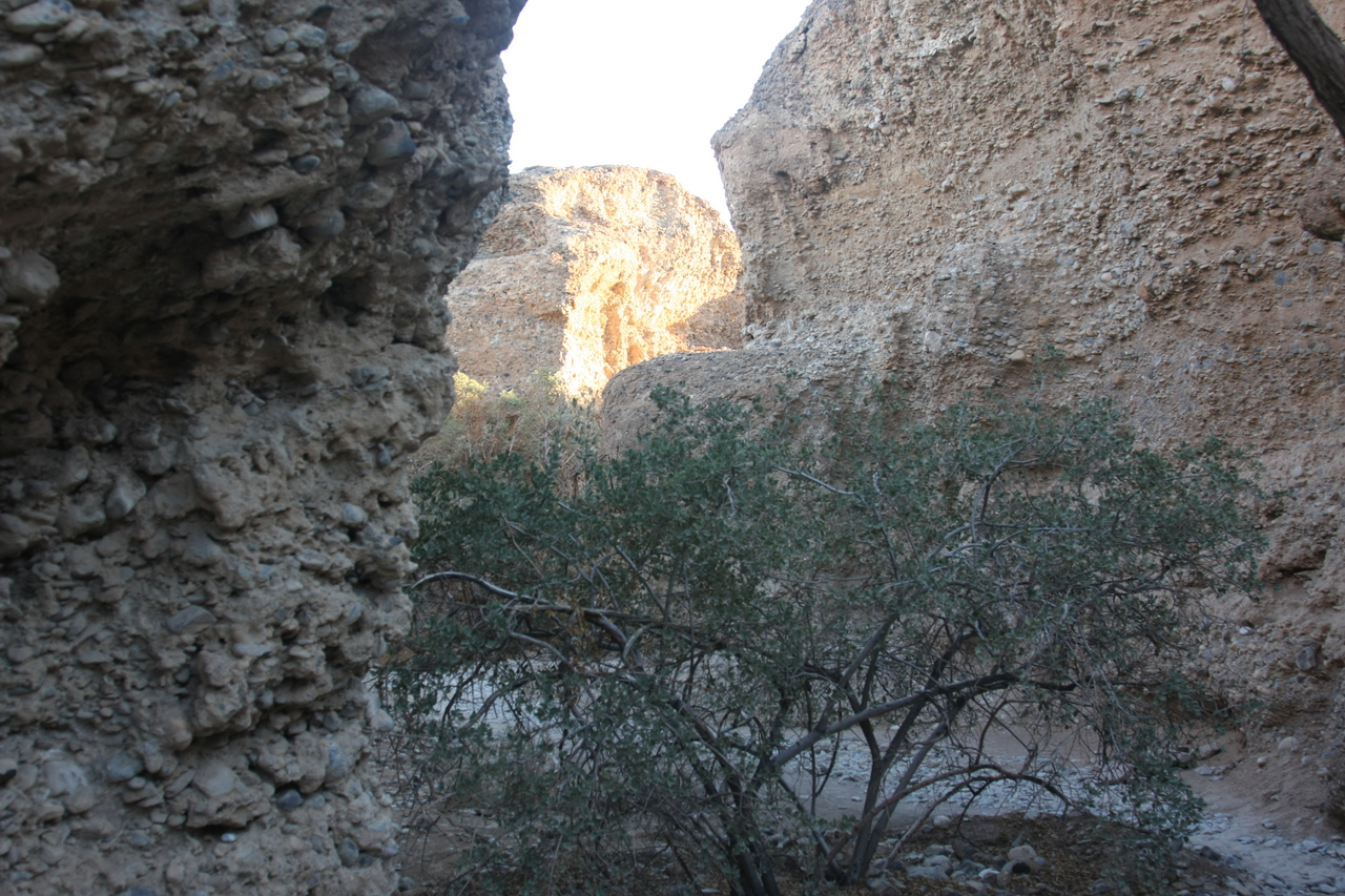 [13902] 2016_06_24_11_38_23_Africa_Canon_EOS_40D_IMG__09390.jpg