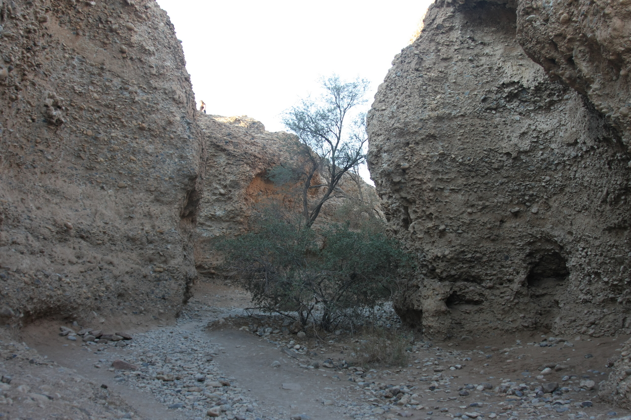 [13907] 2016_06_24_11_39_03_Africa_Canon_EOS_40D_IMG__00020.jpg